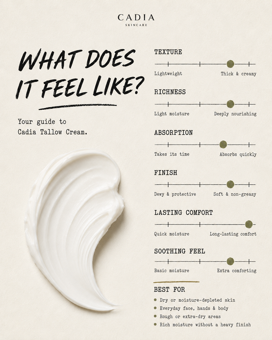 An informational graphic for Cadia Tallow Cream titled 'WHAT DOES IT FEEL LIKE?' on a warm beige background. It includes a large cream smear on the left and feature sliders for texture, richness, absorption, finish, lasting comfort, soothing feel, and best for use.