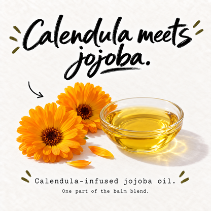 Calendula flowers beside jojoba oil for Talus Tallow Body Balm.